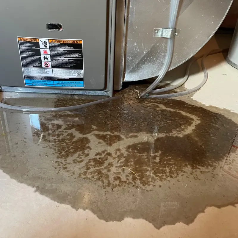 Appliance Leak Cleanup in Brandermill, VA