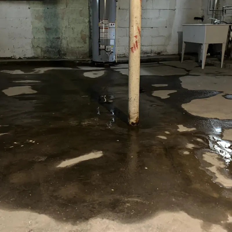 Emergency Water Extraction And Removal in Brandermill, VA